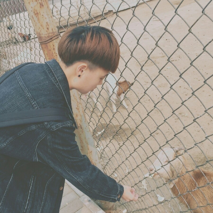 草莓哥哥-歌单-新浪微博