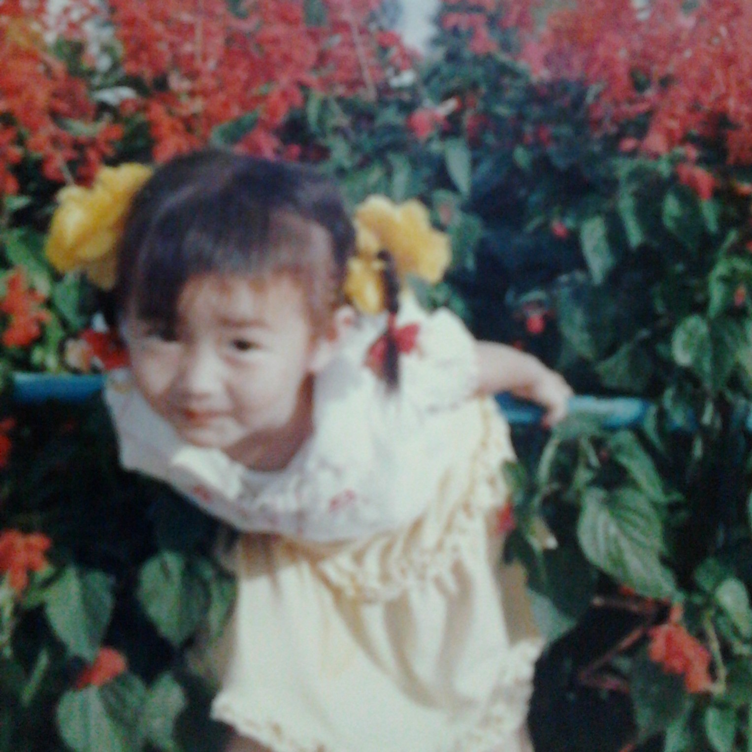 陈姝妤 小太阳歌曲如有