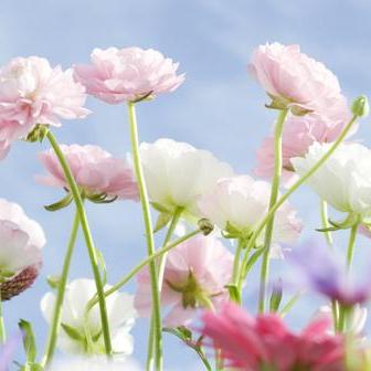 残忍的缠绵 (电影《小时代》插曲)-微博音乐-微