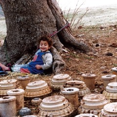 乌龟也会飞,乌龟也会飞电影|微博电影,微博