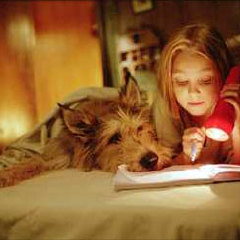 都是戴茜惹的祸,都是戴茜惹的祸电影|微博电影