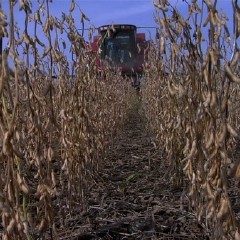 食品公司,食品公司电影|微博电影,微博