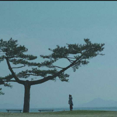 北方的女王-尧十三(Demo)-微博音乐-微博