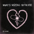 What's Wrong With Me-小鬼-王琳凯