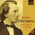 Johannes Brahms: Cello Sonata No.2 in F Op.99 - 2. Adagio affetuoso