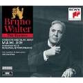 Symphony No. 9 in D Minor: I. Andante comodo-Columbia Symphony Orchestra;Bruno Walter;Gustav Mahler