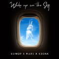 Wake Up in the Sky-Gucci Mane;Bruno Mars;Kodak Black