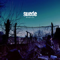 Life is Golden-Suede-专辑《The Blue Hour》