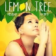 Lemon tree-朴慧京-专辑《Lemon tree》
