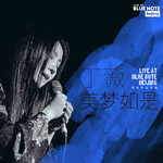 已来不及 (Live at Blue Note Beijing)