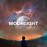 Moonlight (Remix)-潘玮柏;TIA袁娅维