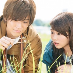 植物图鉴,植物图鉴电影|微博电影,微博