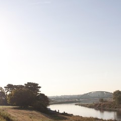 无用的我看见了天,无用的我看见了天电影|微博